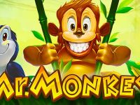 Mr Monkey online slot game at HappyLuke